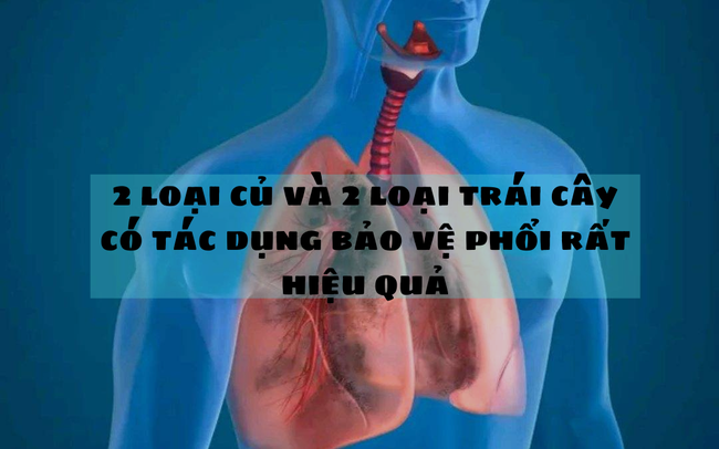 Ăn thường xuyên 2 loại củ, 2 loại trái cây, phổi sẽ như được mặc ‘giáp sắt’: Tạo ‘màn chắn’ xoa dịu tổn thương, bảo vệ đường hô hấp