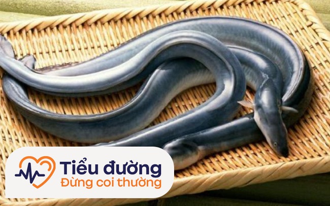 Ăn 2 loại cá này thường xuyên rất tốt cho việc giảm lượng đường trong máu và tăng điều tiết insulin, đặc biệt người tiểu đường rất nên ăn nhiều