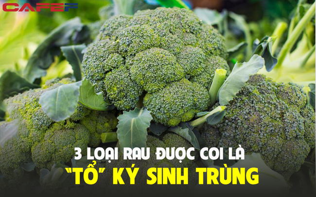 3 loại rau được xem là “tổ ký sinh trùng”, vừa ngon vừa rẻ nhưng sẽ là Ổ BỆNH nếu không được chế biến sạch sẽ