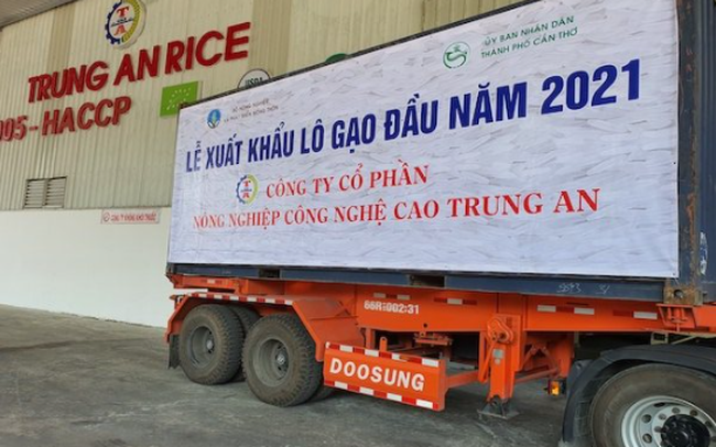 Tăng nóng 173% sau 3 tháng, một cá nhân mua vào hơn 1 triệu cổ phiếu TAR và trở thành cổ đông lớn