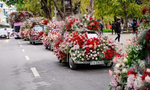 Valentine 2022: Màn tỏ tình bằng 99.999 bông hồng ấn tượng tại Hà Nội