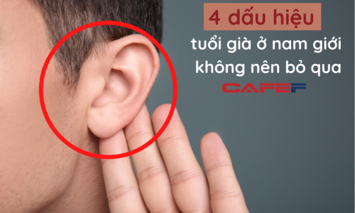 Nam giới khi già đi sẽ có 2 TO – 2 NHỎ: Nếu bạn không có thì xin chúc mừng, sức khỏe vẫn đang ở đỉnh cao