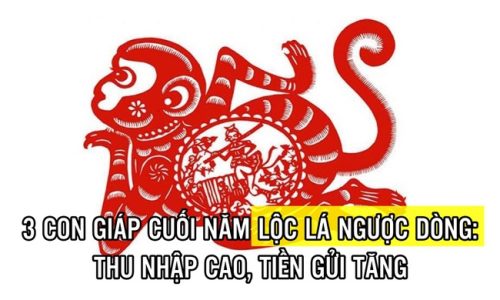 3 con giáp cuối năm lội ngược dòng: Thu nhập cao, tiền gửi tăng, cả ngày cười không ngừng vì lộc lá đầy mâm