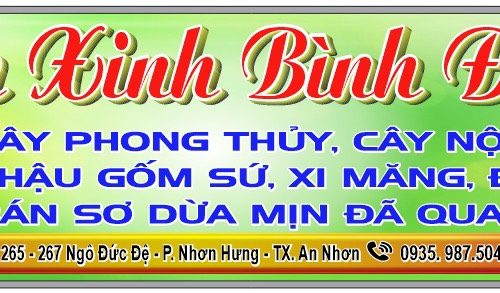 Anh Nguyễn Duy Tuyên Chuyên Kinh Doanh Buôn Bán Cây Nội Thất – Cây Phong Thuỷ – Mua Bán Môi Giới Nhà Đất Uy Tín Trách Nhiệm