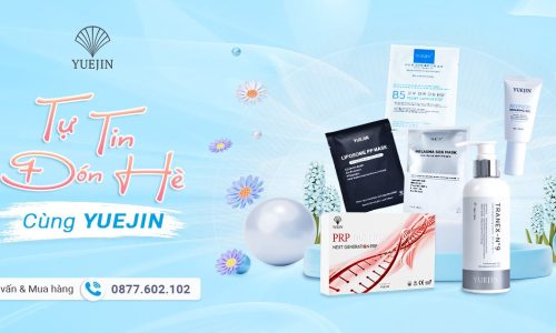 Yuejin B5 – Sự kết hợp hoàn hảo giữa chất lượng và phong cách