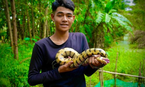 “Trịnh Trọng Tính: Hành Trình Sáng Tạo và Phát Triển Kinh Doanh Mật Ong và Kênh YouTube Săn Bắt Rừng U Minh”